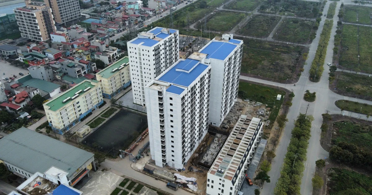 Kiến nghị bỏ quy định về "lợi nhuận định mức" với nhà ở thương mại giá phù hợp
