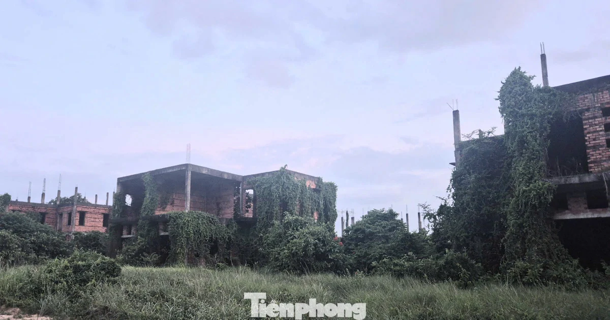 Dự án nghìn tỷ "đắp chiếu", siêu đô thị thành... vườn sắn