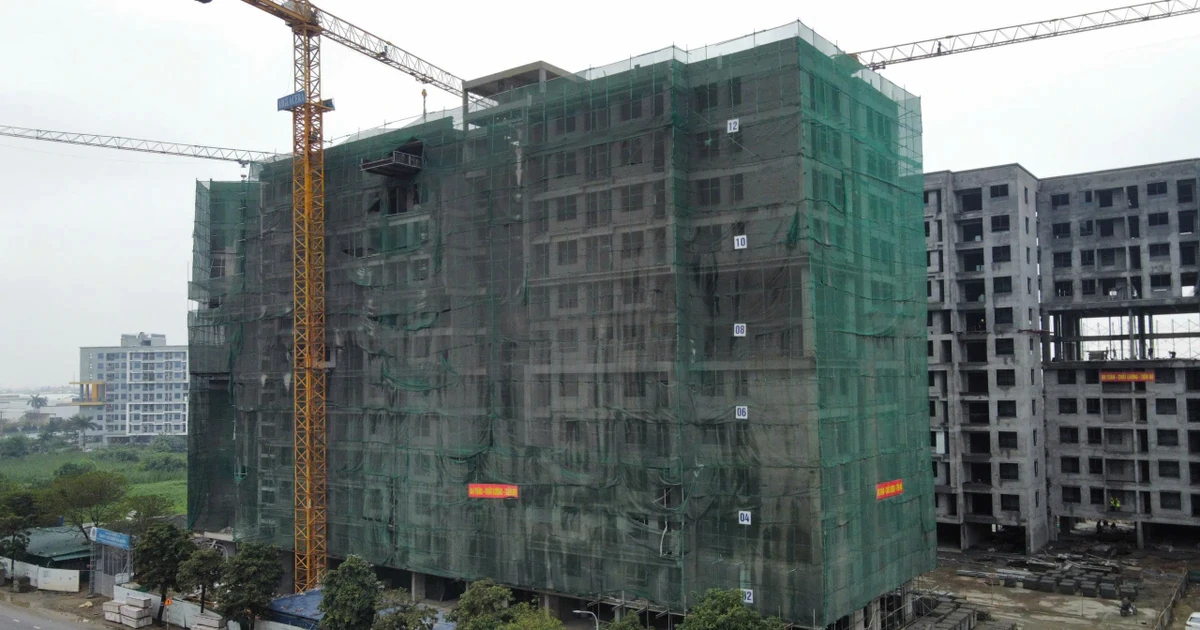 "Bùng nổ" nguồn cung nhà ở xã hội
