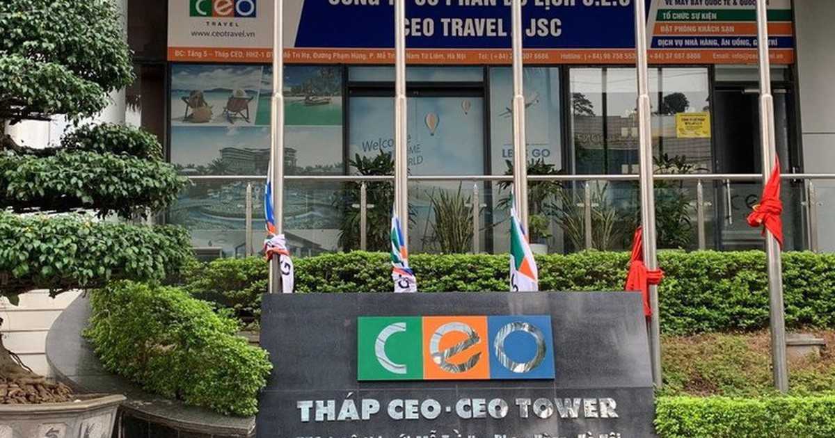 CEO Group góp vốn thành lập 2 công ty con trong lĩnh vực giáo dục