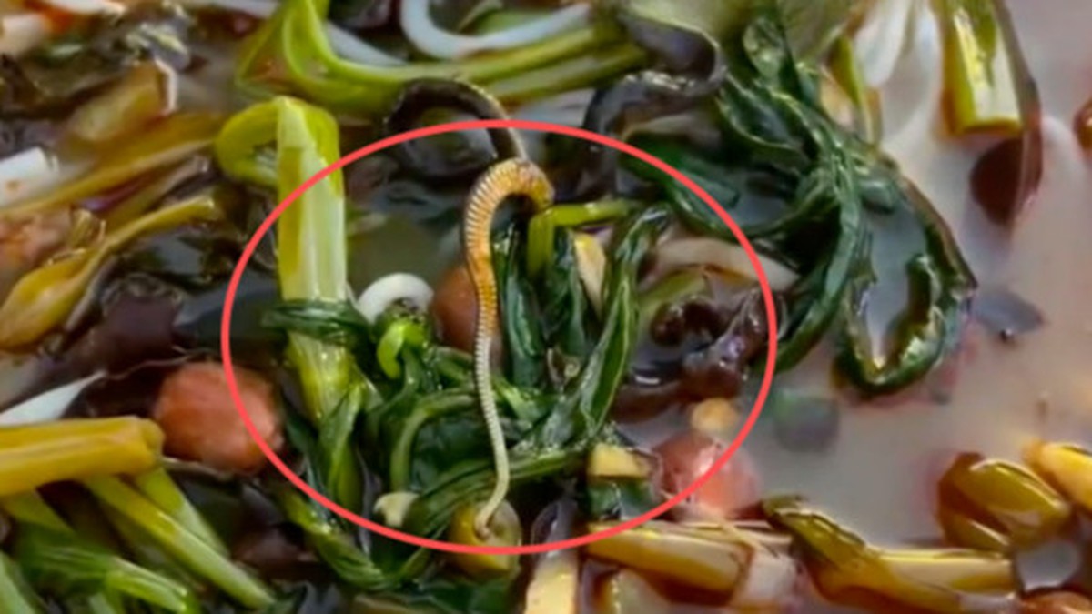 Tưởng là mộc nhĩ, người phụ nữ bàng hoàng khi nhìn rõ thứ nổi trong bát bún: Chủ quán xử lý gây tranh cãi
