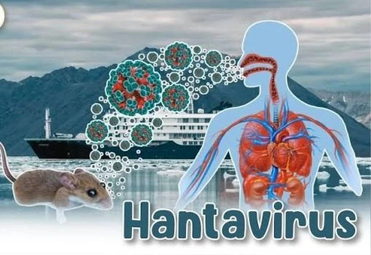 Bộ Y tế lên tiếng về dịch bệnh do virus Hanta