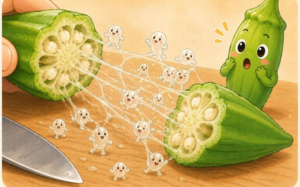 Cắt quả đậu bắp thấy nhớt đừng vội bỏ: Thứ tưởng chỉ gây "khó ăn" lại chính là "cứu tinh" của đường ruột