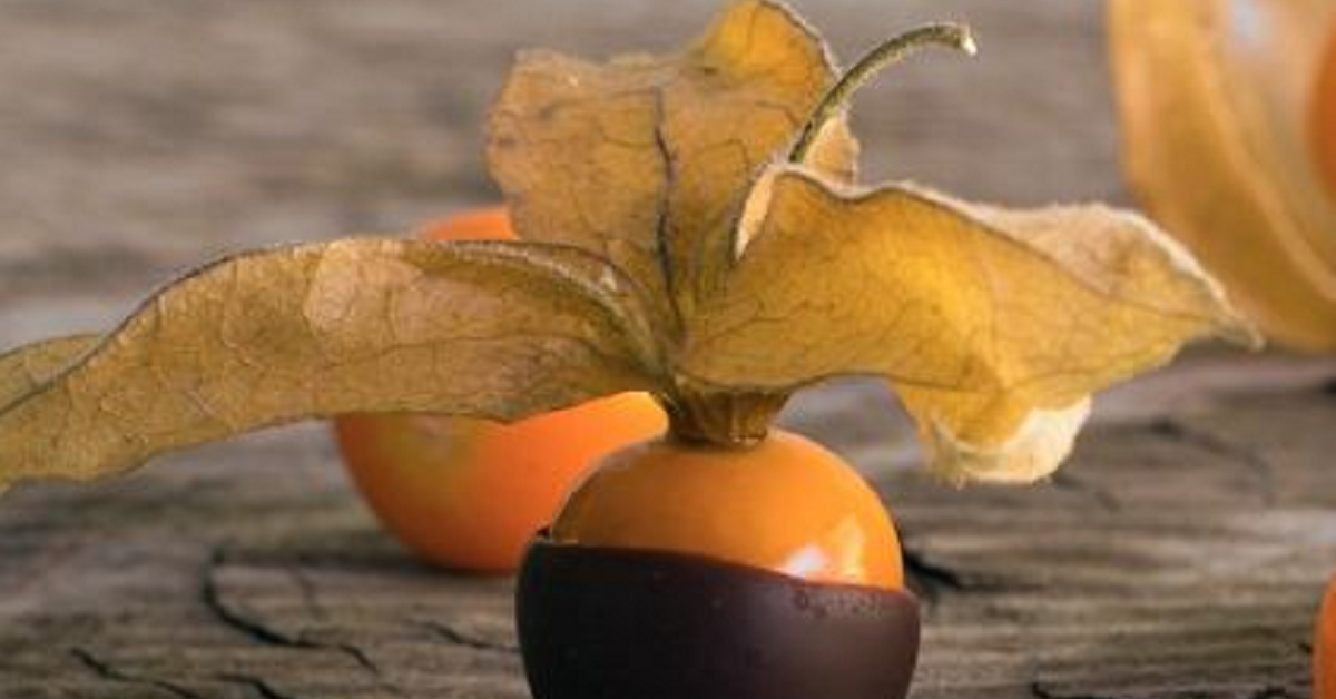 Loại quả dại ở Việt Nam “lên đời” thành đặc sản ở trời Tây, giá cao bất ngờ