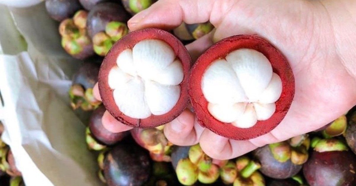 Măng cụt được ví là "nữ hoàng trái cây": Nhiều lợi ích nhưng có 5 nhóm người nên hạn chế ăn