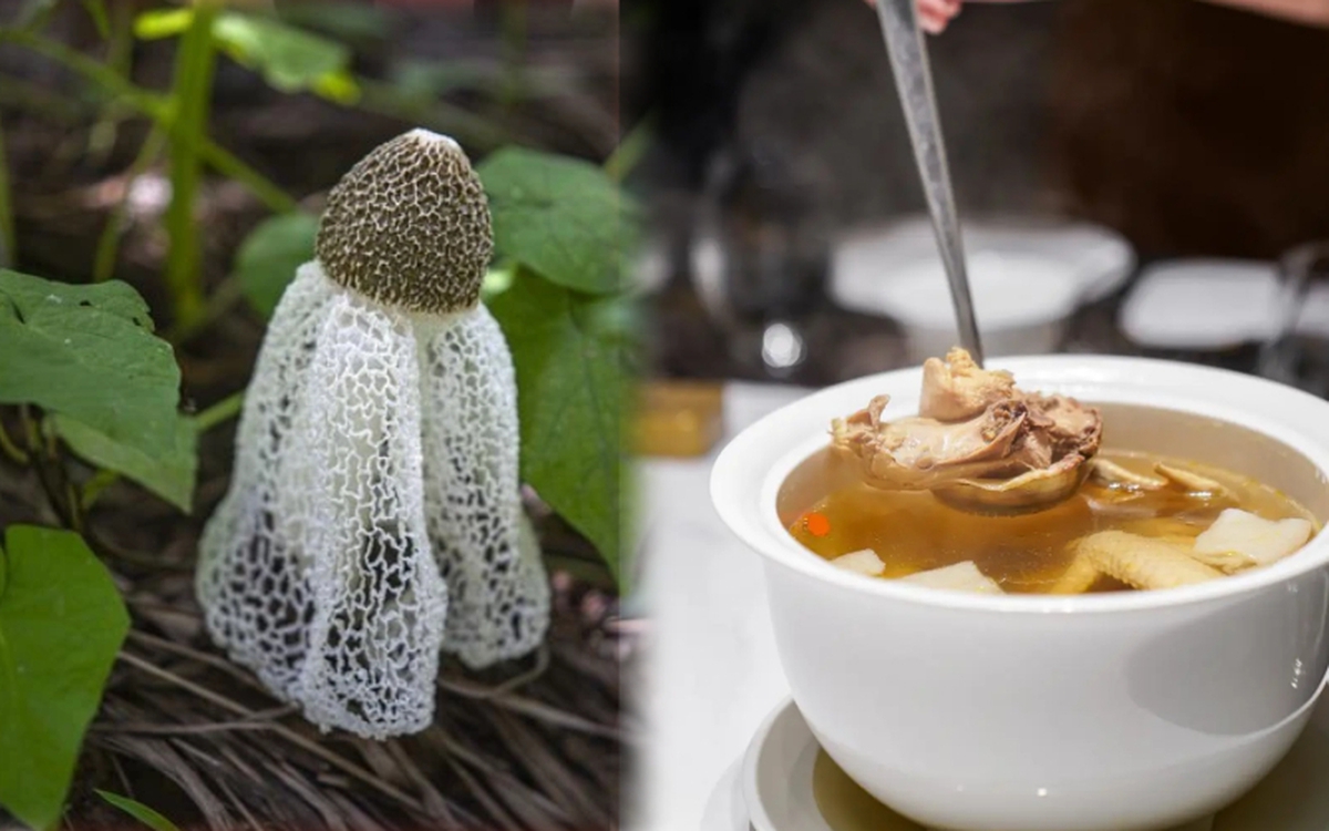 Thực phẩm chứa kali gấp 42 lần chuối, hấp hay luộc đều ngon: Nên ăn nhiều vào tháng 7 để hỗ trợ tiêu hóa, bảo vệ gan, giảm mệt mỏi, tăng miễn dịch