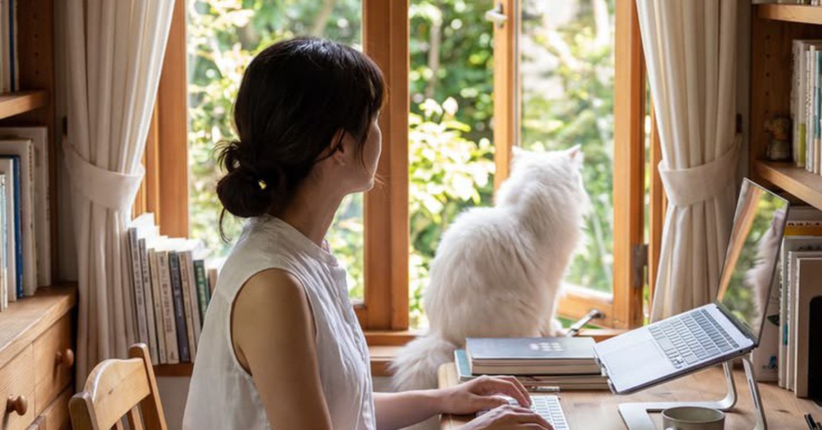 Người có tiền có thuê nhà không?