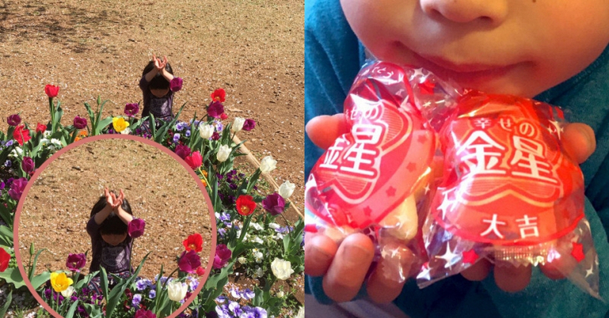 Cậu bé "giả làm hoa tulip để trốn tìm" nổi tiếng khắp thế giới ngày ấy giờ ra sao?