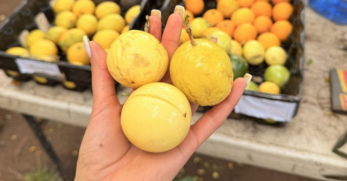 Chợ Việt có 4 thực phẩm màu vàng được ví như “thần dược” mùa thu