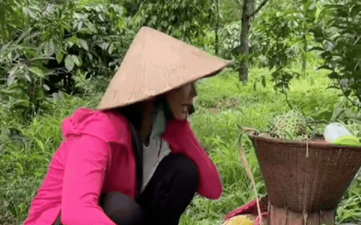 Cô gái nghèo đi làm osin kiếm sống sau 5 năm trở thành Hoa hậu cả nước biết mặt, giờ mua quả đồi 60.000 m2