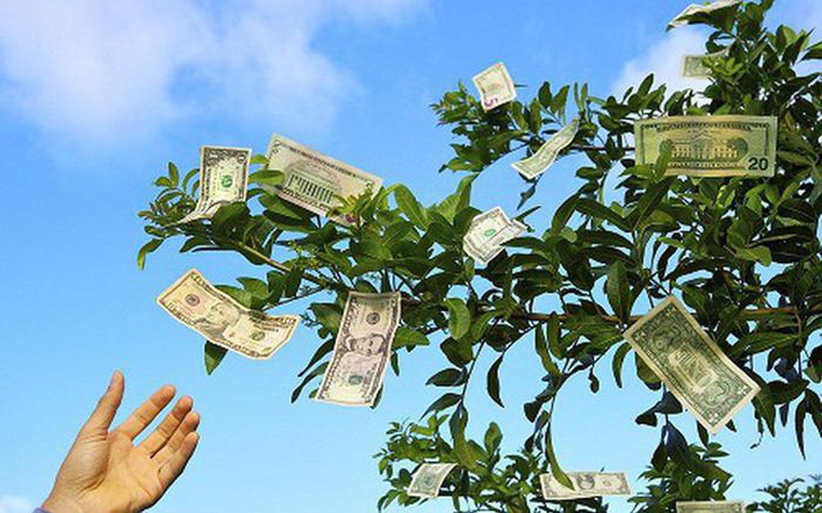 Một công ty sắp trả cổ tức 2.500 đồng/cp, gần 2 thập kỷ không năm nào quên “mưa tiền mặt” cho cổ đông