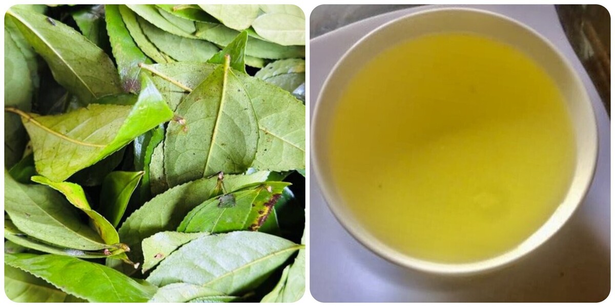 Điều gì sẽ xảy ra với cơ thể nếu bạn uống nước chè xanh mỗi ngày?