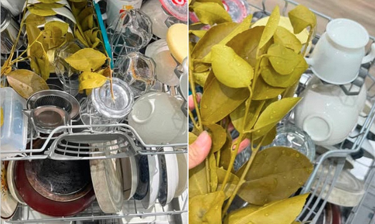 Viral mẹo cho nắm lá chanh vào máy rửa bát, lý do khiến nhiều người ngỡ ngàng