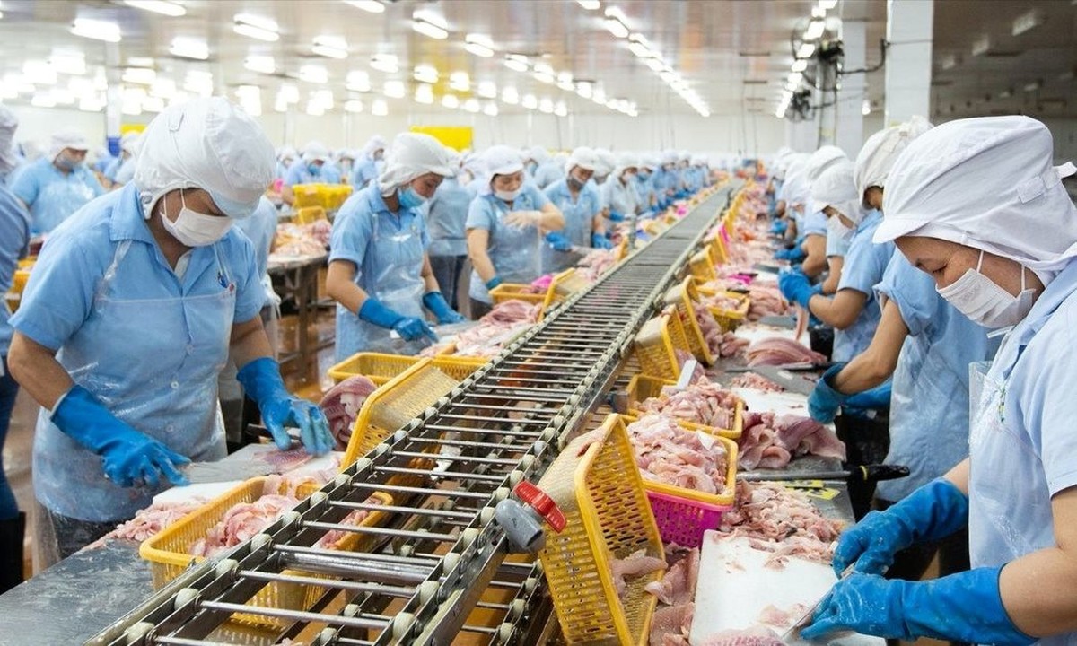 Con trai "vua cá rô phi" lần thứ 3 mua thêm 1 triệu cổ phiếu ANV khi thị giá giảm gần 40% từ đầu năm