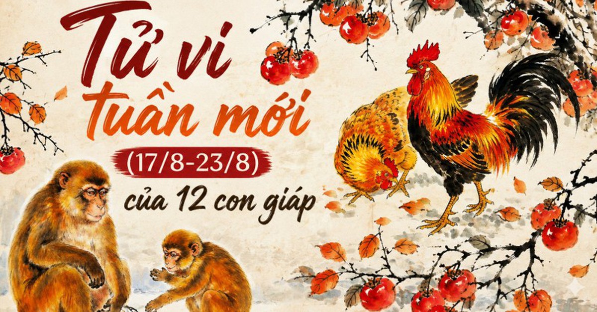 Tử vi tuần mới (17/8 - 23/8): Top 4 con giáp có quý nhân vượng nhất, càng chủ động càng gặp nhiều cơ hội