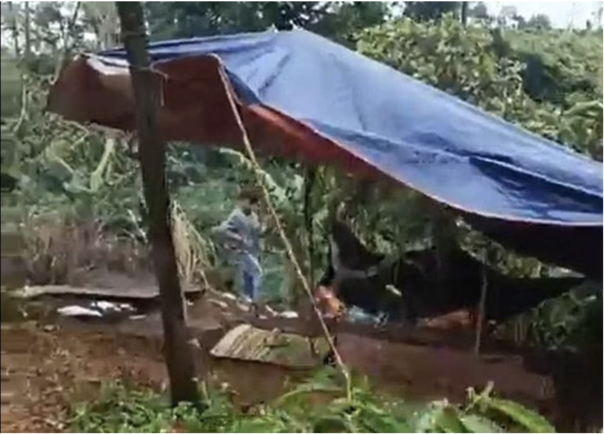 Vụ nữ nhân viên thư viện trường nghi bị đồng nghiệp sát hại, chôn trong rẫy: Hiệu trưởng nói gì về nghi phạm?