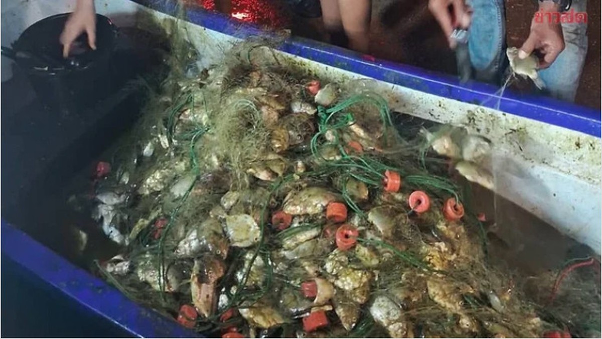 Đi bắt cá về ăn tối, người đàn ông kéo lên gần 200 kg thứ phủ kín thuyền: Chuyên gia chỉ ra điều đáng lo