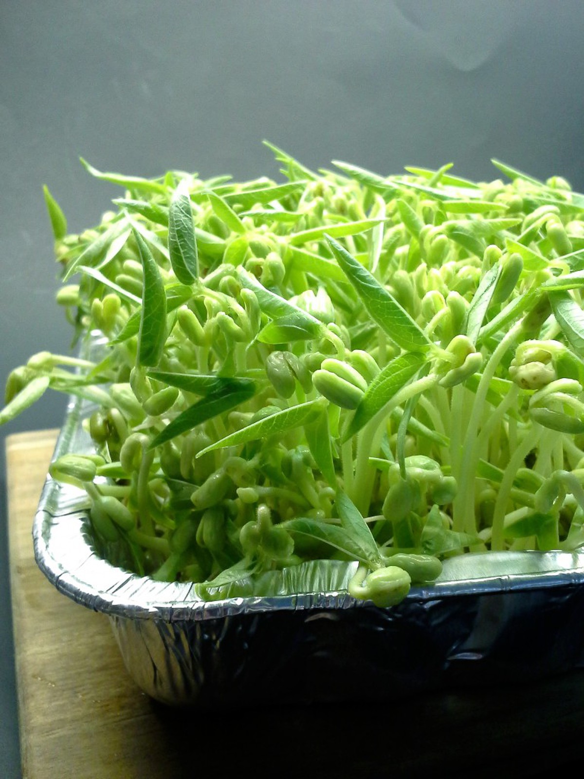 Loại rau được ví là "nhân sâm", bồi bổ ngũ tạng, thanh nhiệt giải độc: Bán quanh năm đầy chợ