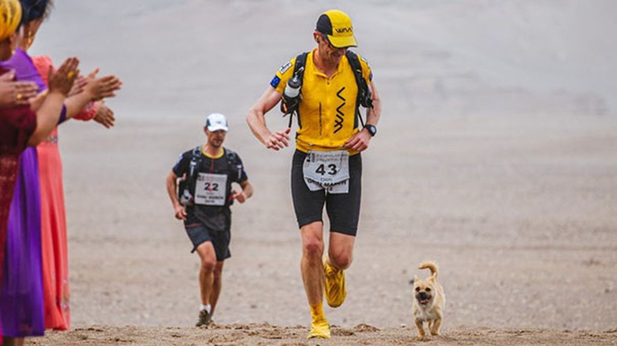 Chú chó hoang chạy 125 km xuyên sa mạc theo chân VĐV siêu marathon rồi đột ngột mất tích: Cái kết sau 9 năm gây bất ngờ