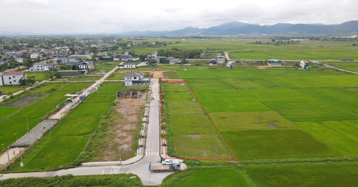 Đất vùng quê có lô giá khởi điểm gần 5 tỷ: 13 lô còn lại không có người đấu