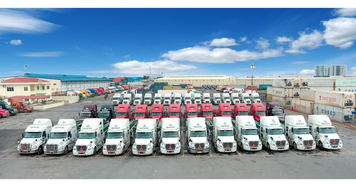 Viconship dự kiến phát hành 500 tỷ đồng trái phiếu, bảo đảm bằng vốn góp tại công ty con