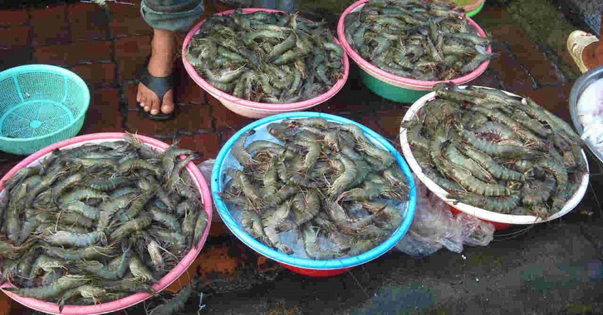 Chủ cửa hàng hải sản 20 năm nói thẳng: 5 loại tôm có cho không cũng đừng lấy, chỉ người "dại" mới mua