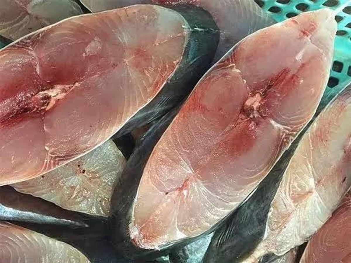 5 loại cá giá rẻ mà bổ ngang cá hồi, cứ ra chợ là thấy