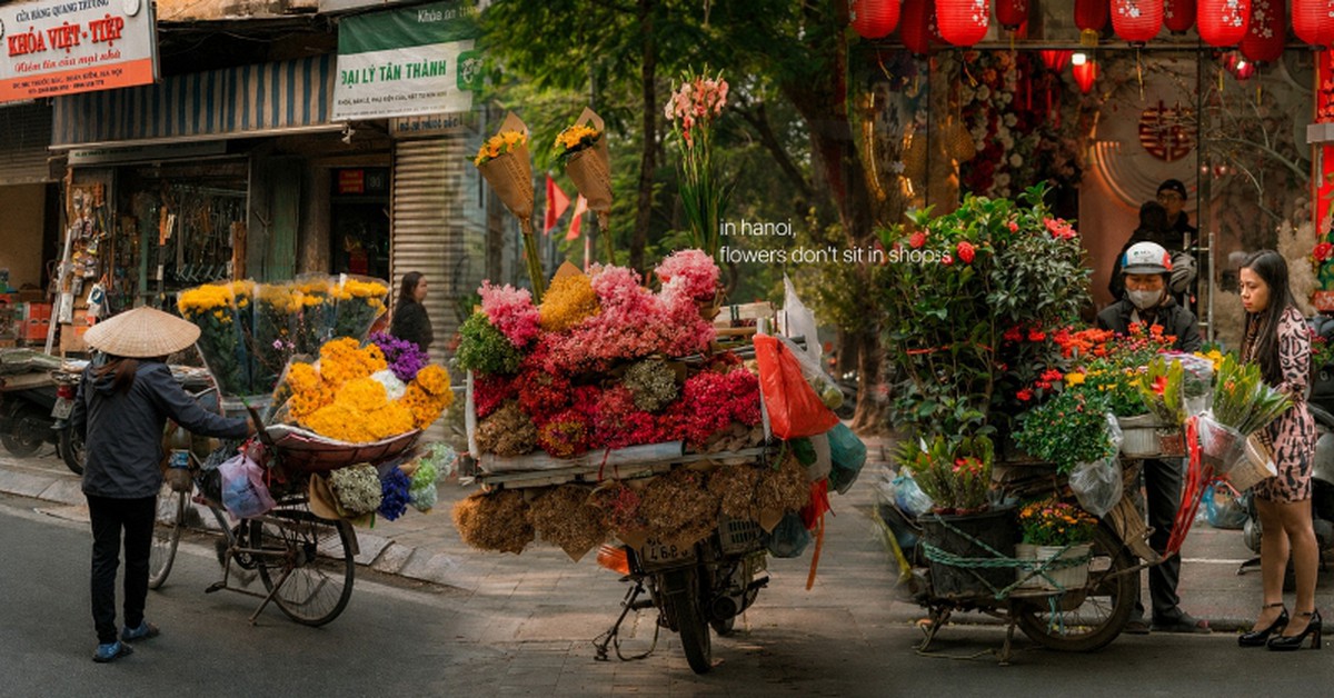 Đi tìm thứ mỹ học chữa lành khắp nơi, nữ nhiếp ảnh gia người Nga lại tìm thấy câu trả lời ngay trên phố phường Hà Nội