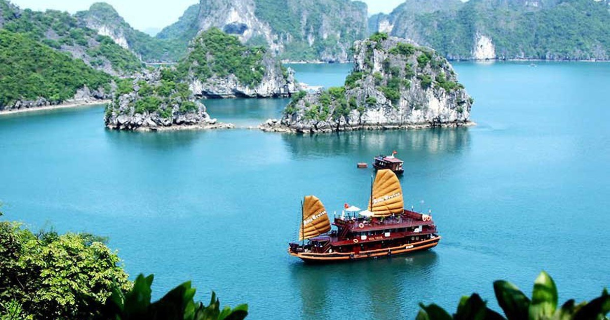 Mỗi địa điểm sẽ có mã định danh 12 chữ số, hiển thị trên VNeID
