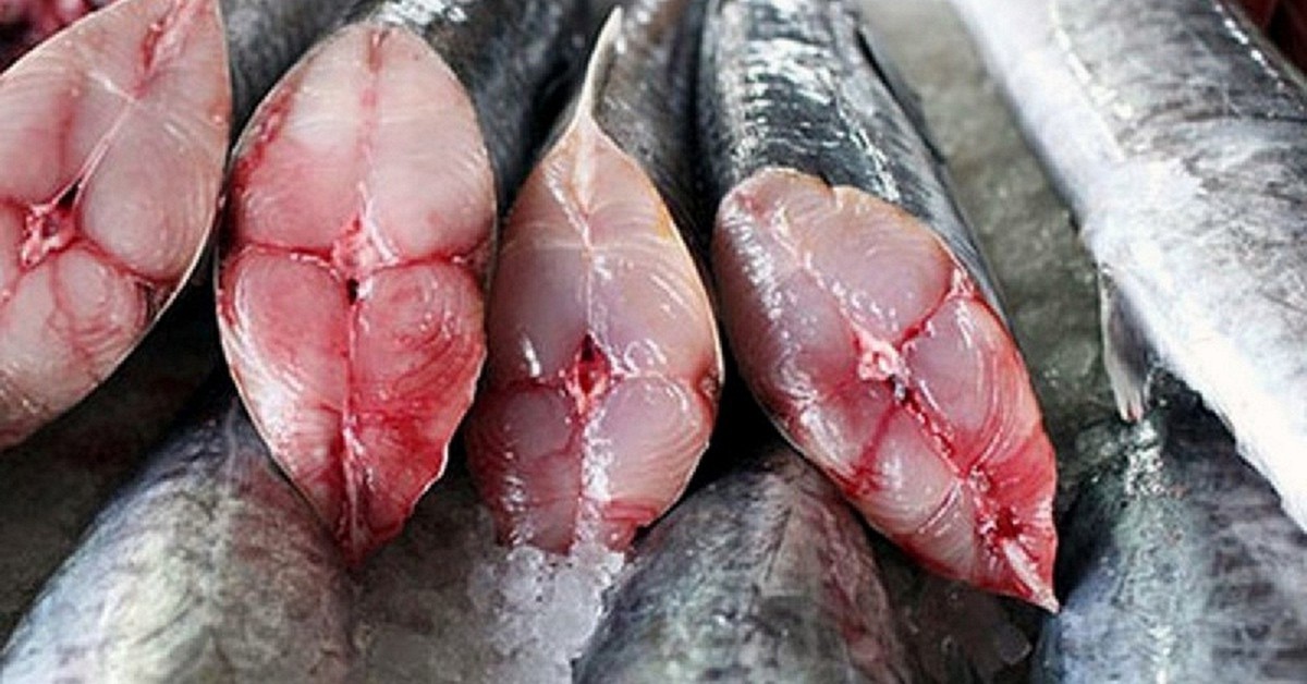 6 loại cá chứa lượng thủy ngân cao nhất