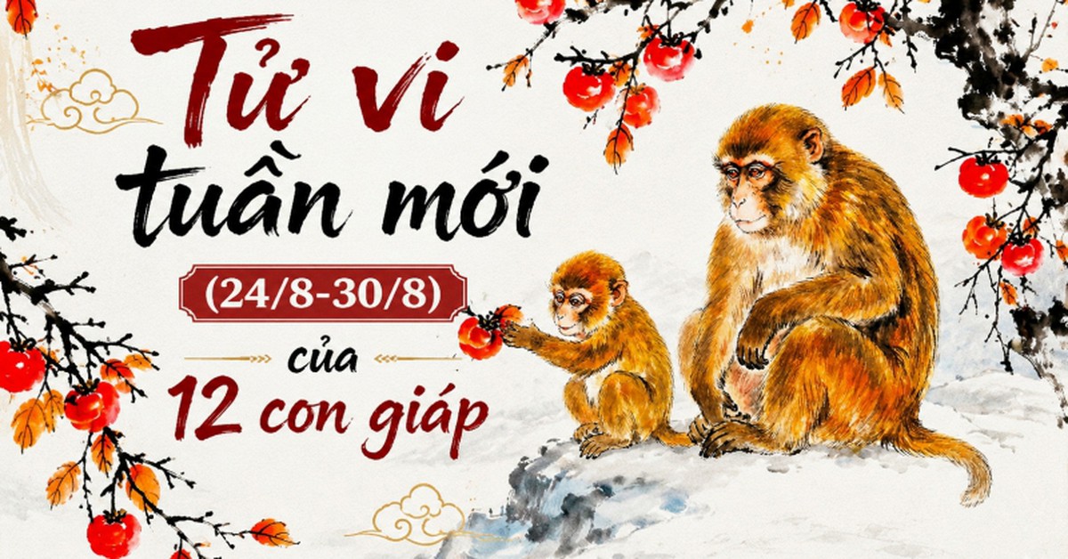 Tử vi tuần mới (24/8 - 30/8): 5 con giáp đón tài lộc khởi sắc, có người ký được hợp đồng lớn, có người thu hồi tiền chờ đã lâu