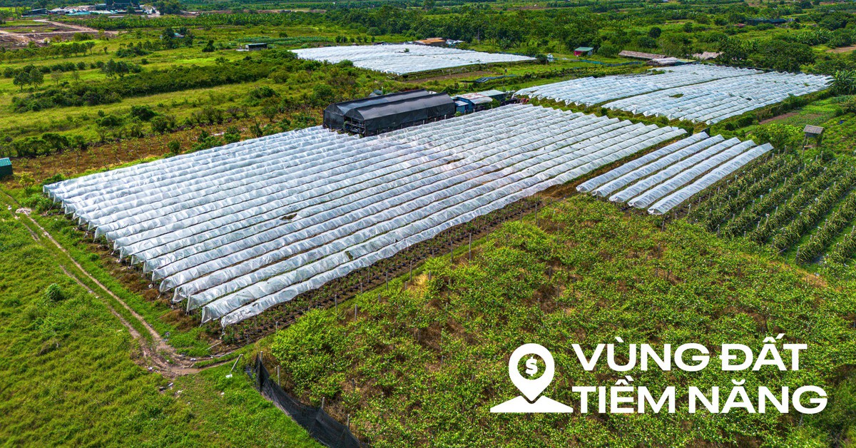 Toàn cảnh khu đất nơi Vingroup có thể xây tháp đôi nhiều tầng nhất thế giới, diện tích sàn gấp hơn 2 lần Burj Khalifa