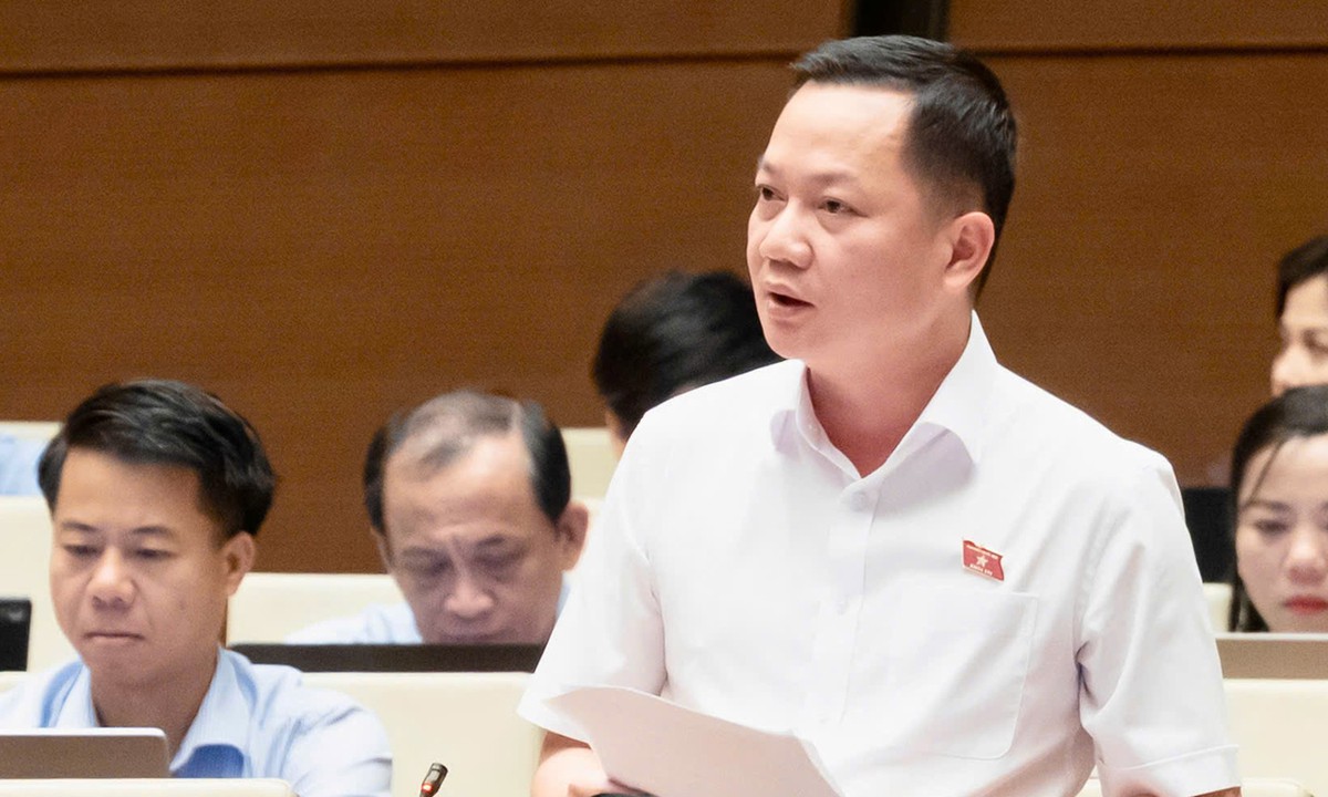 Đại biểu Quốc hội đề nghị định danh hành vi thao túng thị trường bất động sản