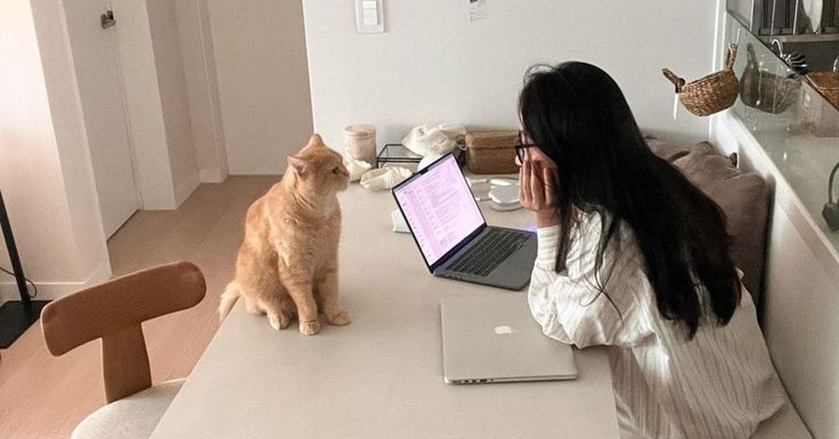 Có nên chuyển nhà để tiết kiệm 1-2 triệu mỗi tháng?