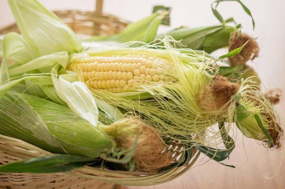 Đây chính là hai phần bổ dưỡng bậc nhất của bắp ngô! Nhiều người toàn bỏ phí