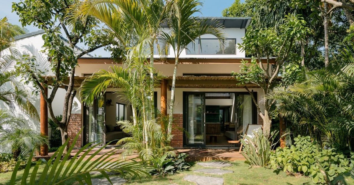 6 lý do vì sao gia đình nào cũng nên trồng cây cau trước cửa