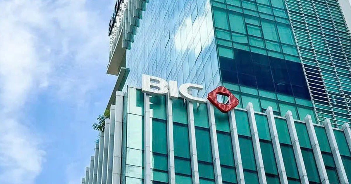 BIC sắp chi hơn 240 tỷ đồng trả cổ tức năm 2025