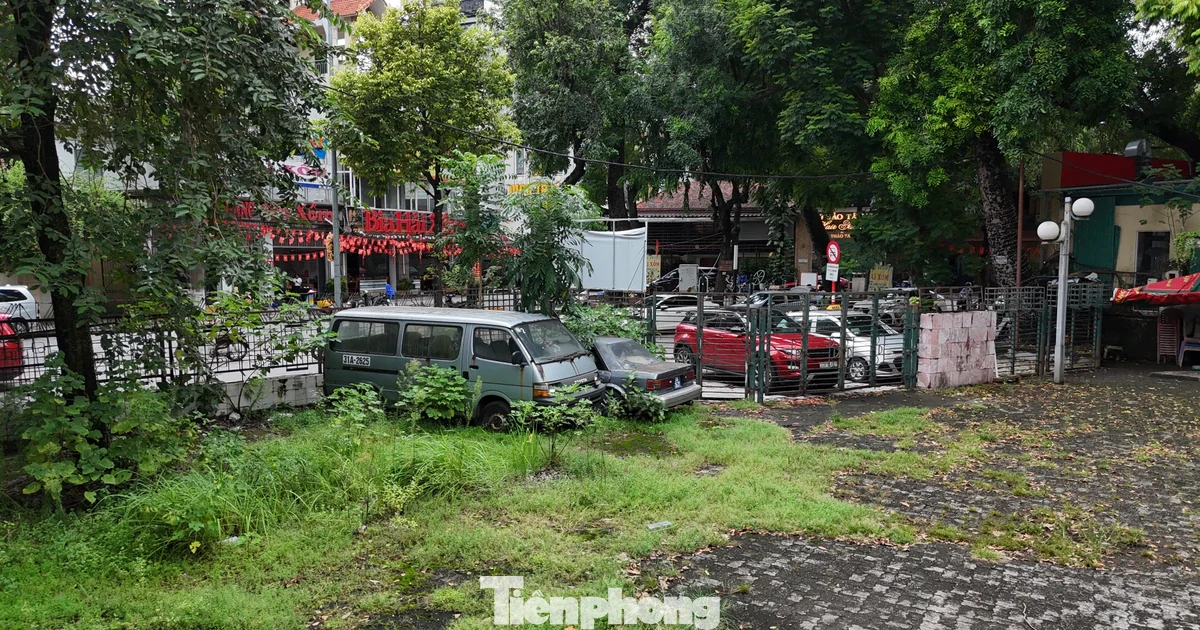 Cảnh hoang tàn bên trong khu "đất vàng" tại phường Hai Bà Trưng vừa bị thu hồi