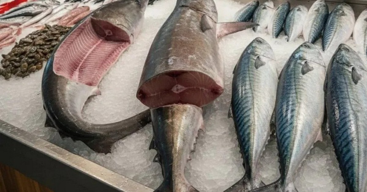 6 loại cá "ngậm" nhiều thủy ngân bậc nhất