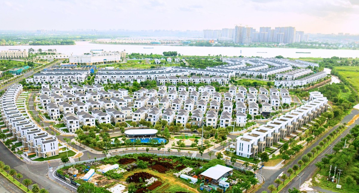 Nhà phố, biệt thự TP.HCM, Đồng Nai, Tây Ninh diễn biến “lạ”