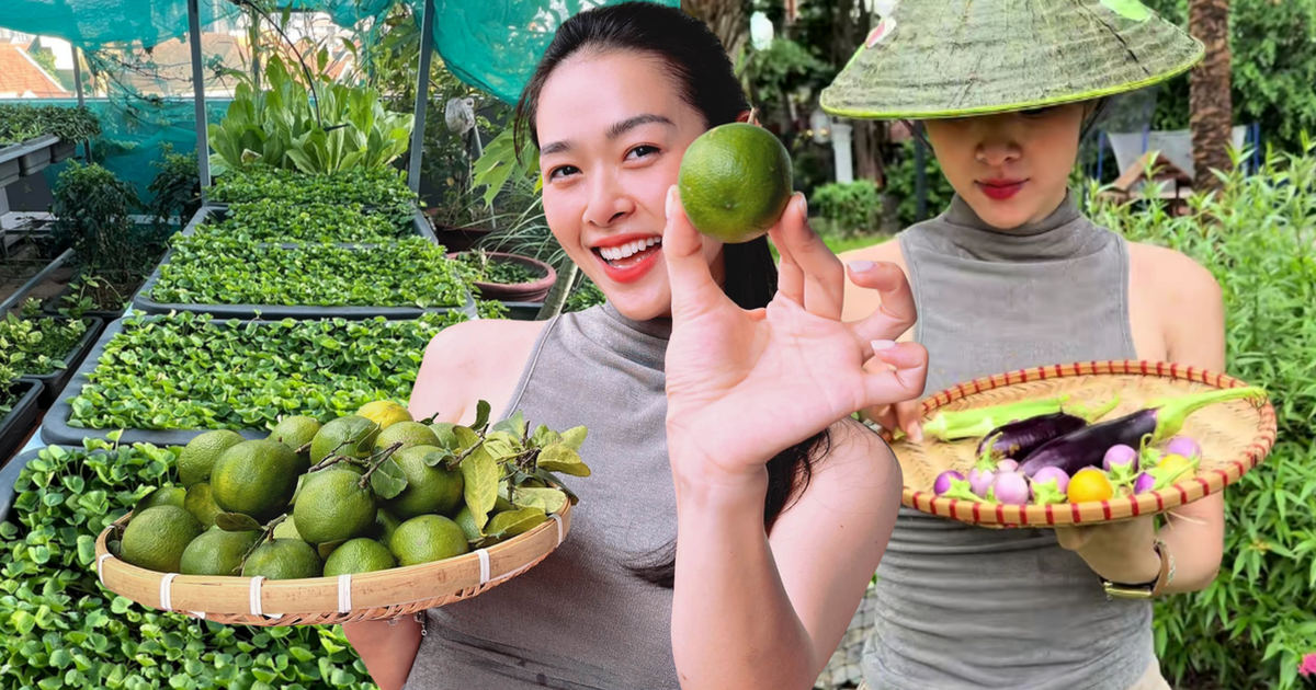 Khu vườn ngập trái cây trong căn nhà phố rộng 100m2 của Diệp Bảo Ngọc
