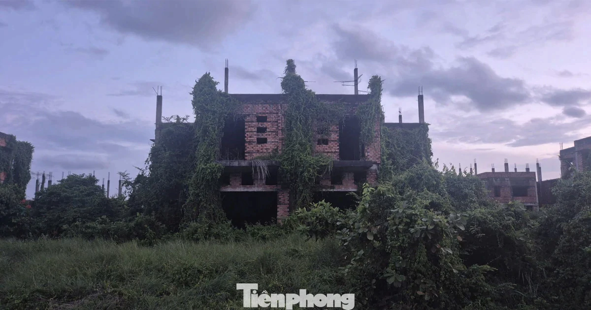 Đồng Nai cảnh báo tình trạng đầu cơ, làm giá nhà đất đón quy hoạch