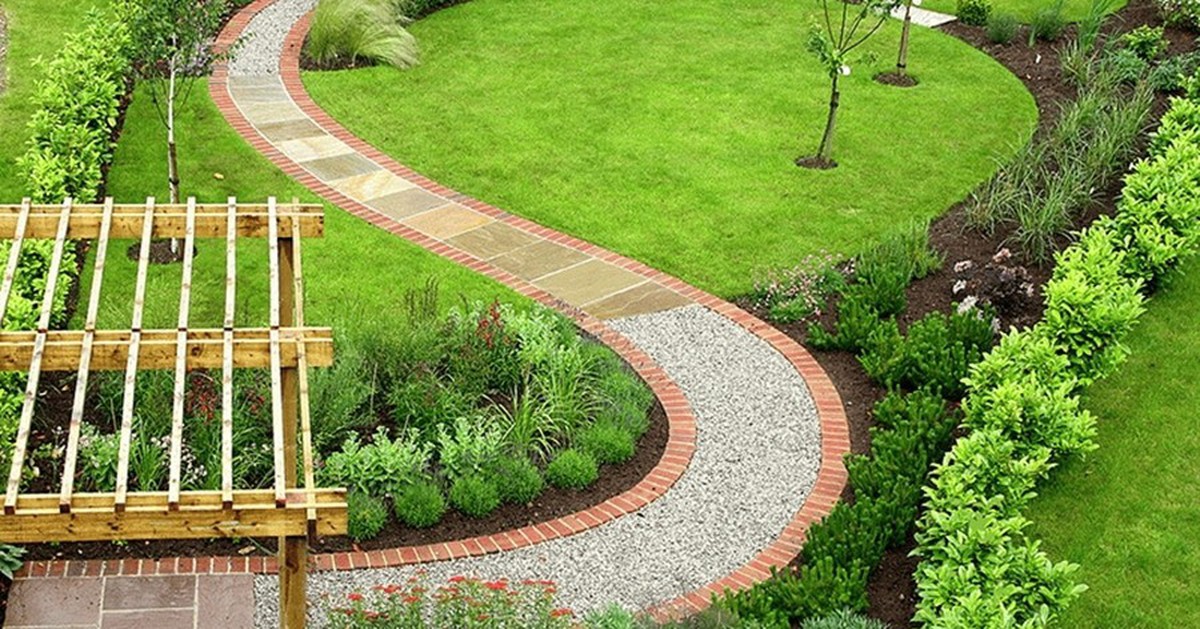 5 loại cây dễ chăm sóc, thích hợp trồng lối đi sân vườn