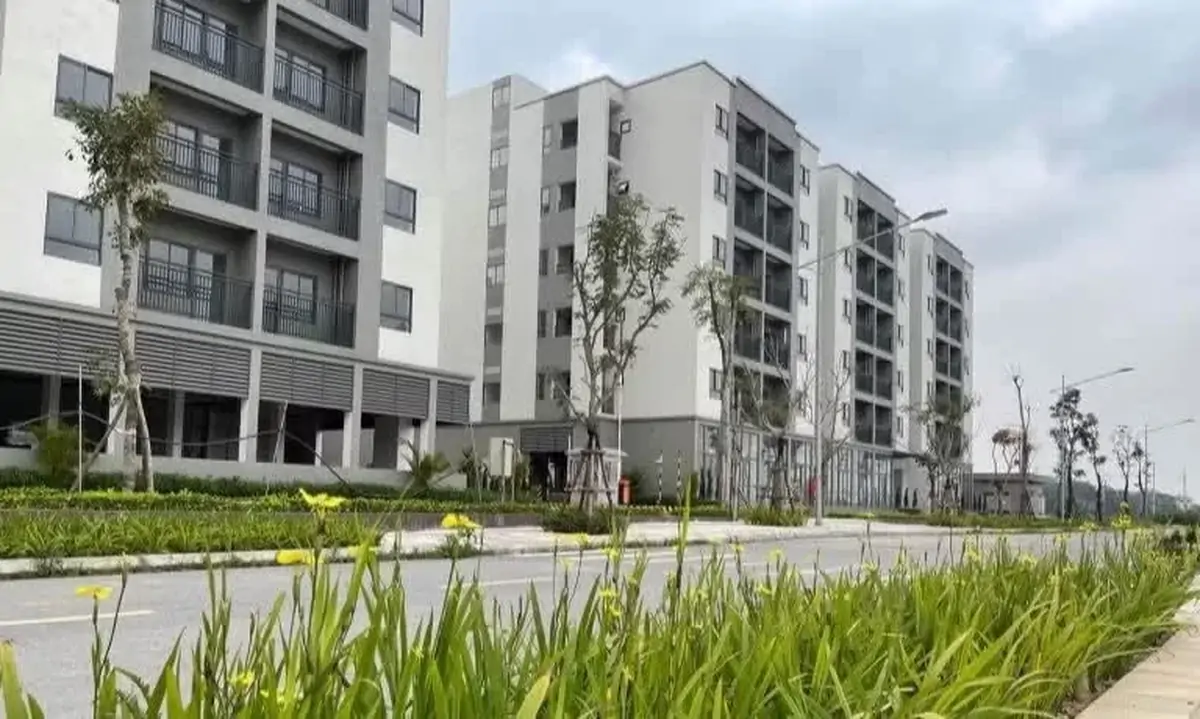 Đề nghị cắt bỏ khâu "thẩm định và ra quyết định miễn tiền sử dụng đất" đối NƠXH