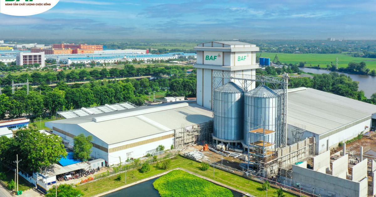 Doanh thu bứt phá, Baf Việt Nam vẫn báo lãi ròng quý II/2026 ‘bốc hơi’ 50%