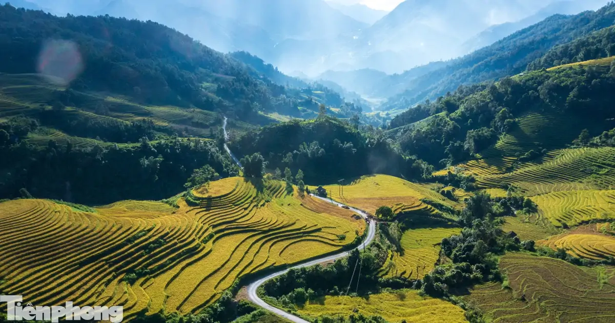 Ruộng bậc thang Tây Bắc mùa lúa chín đẹp như tranh