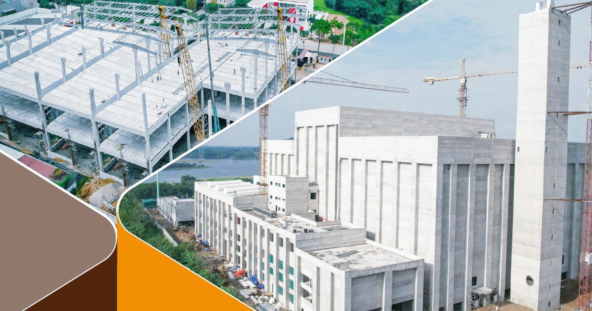 Vinadic được giao hơn 48.700m2 đất làm dự án Xây dựng chợ nguyên liệu gỗ Vân Hà