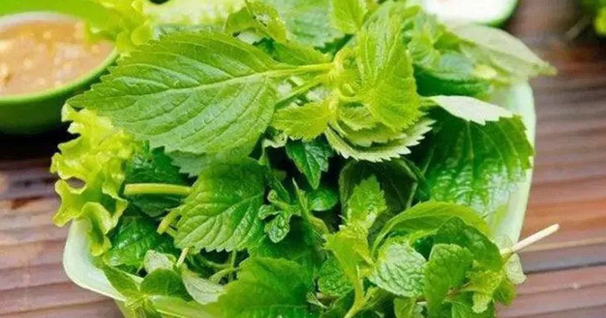 Tin vui cho những người thích ăn rau kinh giới!