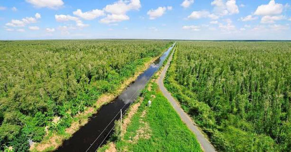 Việt Nam có khu rừng thuộc dạng hiếm bậc nhất thế giới, chia đôi bởi 1 dòng sông, 3 tổ chức cùng vinh danh