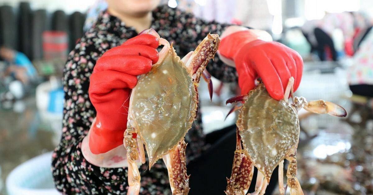 Người bán hải sản 20 năm nói thẳng: 5 loại cua có cho không cũng đừng lấy, chỉ người "dại" mới mua về